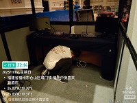 1765779556398953.jpg 6.jpg