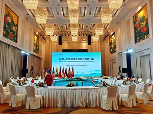 1765780381590026.jpg 14.jpg