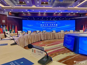 1766370235835780.jpg 8.jpg